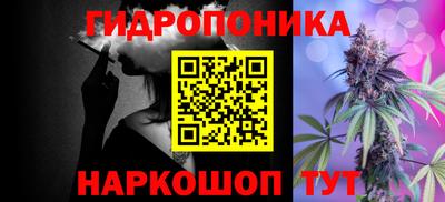 крисы Новодвинск